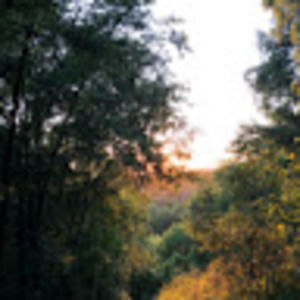 Meet your Posher, Betsy